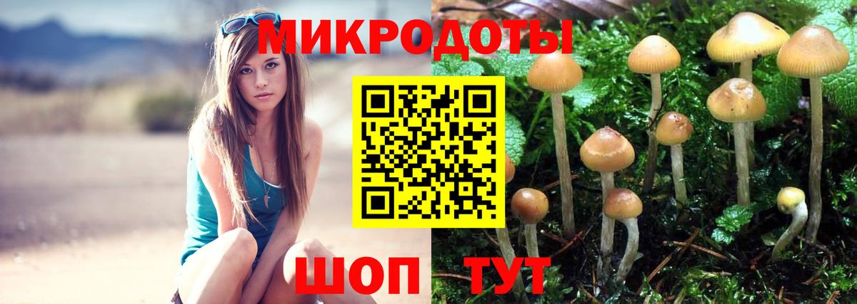 Галлюциногенные грибы ЛСД Сердобск